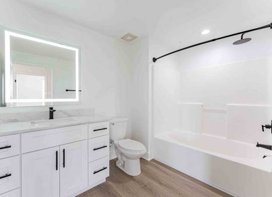 a bathroom with a sink and a toilet and a bath tub