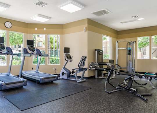 A gym with treadmills, elliptical machines, and other exercise equipment.