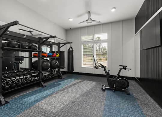 A home gym with a weight rack, exercise balls, and a stationary bike.