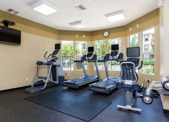 A gym with treadmills, elliptical machines, and a television.