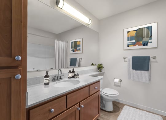 Luxurious Bathroom at Dexter Lake Union, Seattle, WA, 98109
