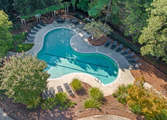 an aerial view of a swimming pool with trees and a courtyard at View at Lake Lynn, Raleigh, 27613