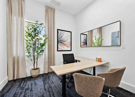 A room with a table, chairs and a plant.
