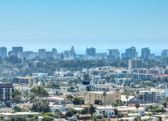 a view of the city with the city skyline in the background