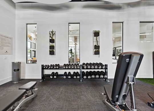 A gym with a row of dumbbells and a treadmill.