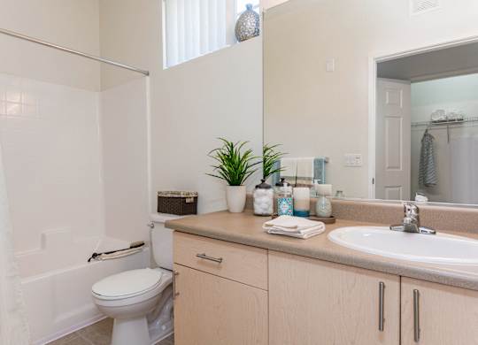 Bathroom at Greenfield Village, California, 92154