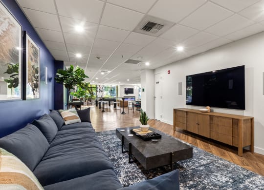 a living room with a blue couch and a tv