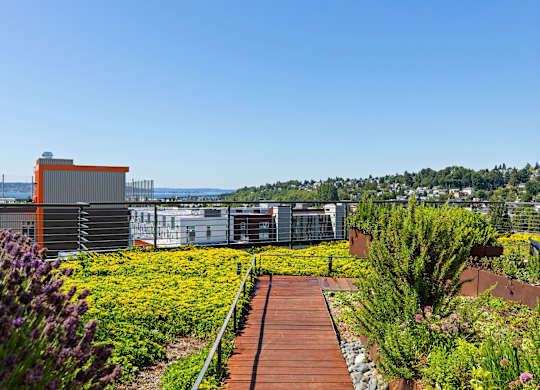 Rooftop Garden at Axle, Washington, 98119
