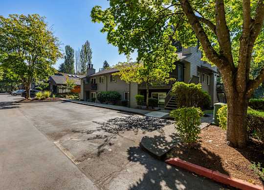 Residential street with mature trees and apartment buildings at Scout Apartments, Kirkland, WA