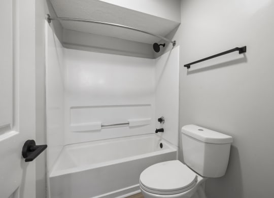 a bathroom with a toilet and a bath tub