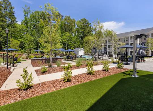 A sunny day at a park with a grassy area and trees.