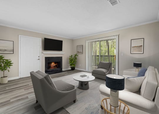 Living room with Tv at The Madison at Adams Farm, Greensboro, 27407