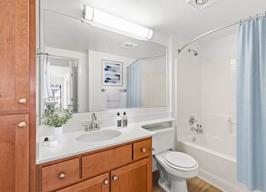 A bathroom with a white toilet, a sink with a mirror above it, and a shower with a blue curtain.