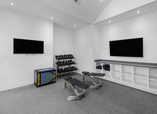 the gym with weights and a tv on the wall