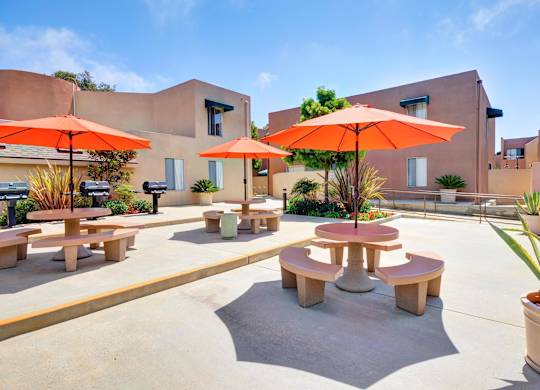 outdoor lounge area