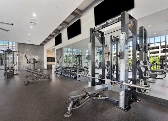 A gym with a variety of equipment including a squat rack.