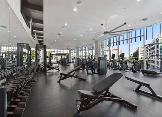 A gym with a variety of equipment including treadmills, weights, and exercise machines.