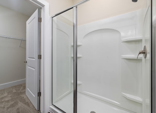 glass door shower with shelving