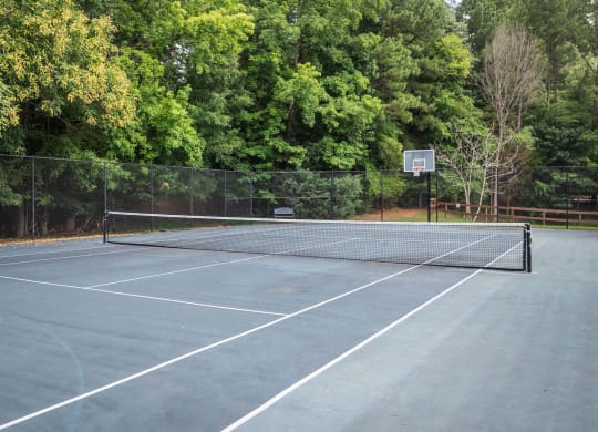 the basketball/tennis court with trees in the background