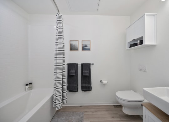 a bathroom with a toilet and a tub and a sink
