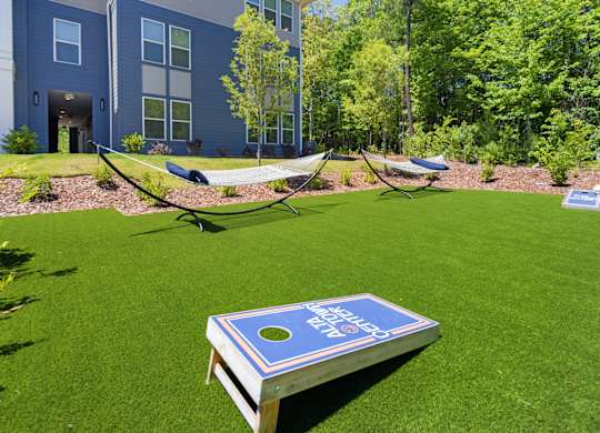 A blue book with a hole in the middle is on a green lawn.