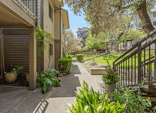 the walkway up to the condos is lined with plants and trees