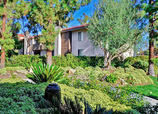 green space at Shadowridge Woodbend Apartments