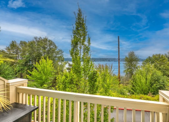 Bella Vista View Of Lake Washington