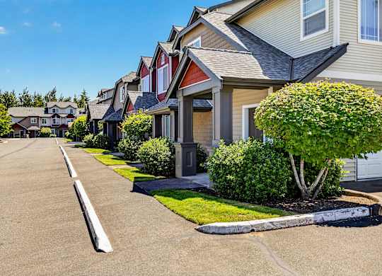 A row of houses with a tree in front of the first house.