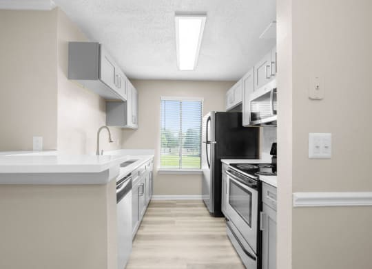Modern Kitchen view at The Madison at Adams Farm, Greensboro, NC