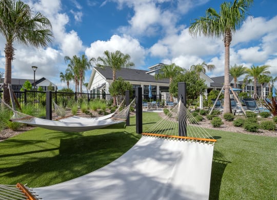 a backyard with hammocks and palm trees and a house