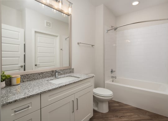 a bathroom with a shower toilet and sink and a mirror