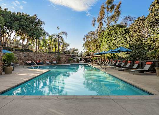 A large outdoor swimming pool surrounded by trees and lounge chairs.