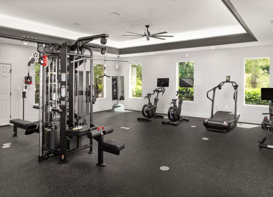 a gym with weights and cardio equipment in a luxury home