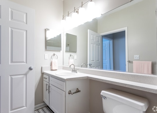 a bathroom with a toilet and a sink and a mirror