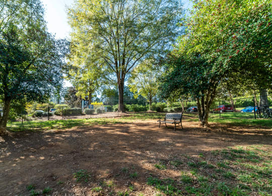 Dog Park