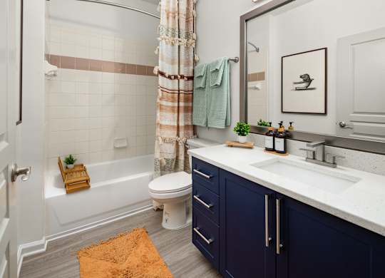 a bathroom with a sink and a toilet and a shower