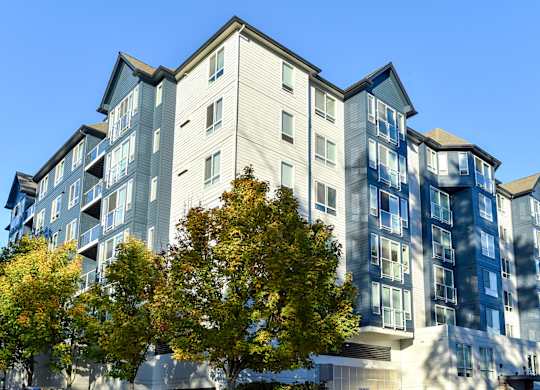 an apartment building with a tree in front of it