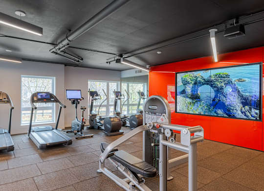 A gym with treadmills, exercise bikes, and a television screen showing a rocky landscape.at Axle, Seattle, WA 