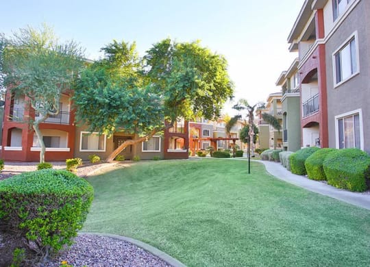 Community lawn