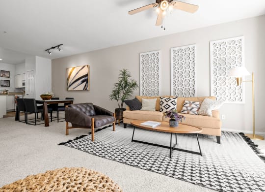 a living room with grey walls and white carpet