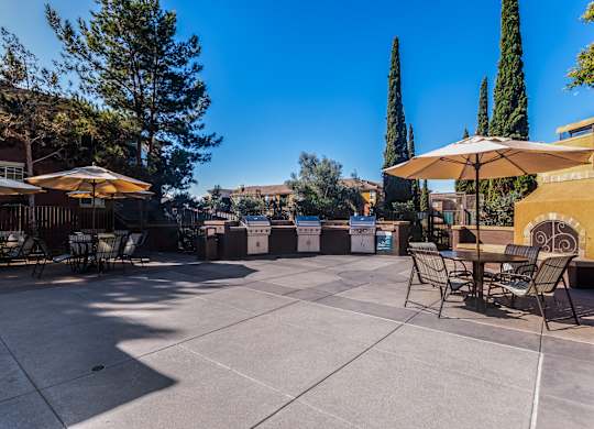 A patio with chairs and umbrellas is surrounded by trees.