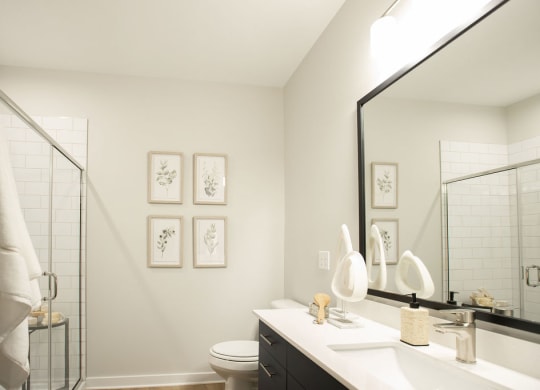 a bathroom with a mirror and a toilet and a sink