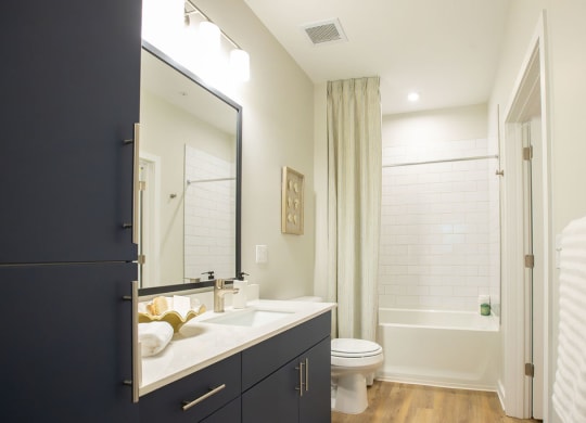 a bathroom with a sink and a toilet and a shower