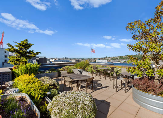 the rooftop terrace at the laureate apartments in san francisco, calif., is seen  at Dexter Lake Union, Seattle, 98109