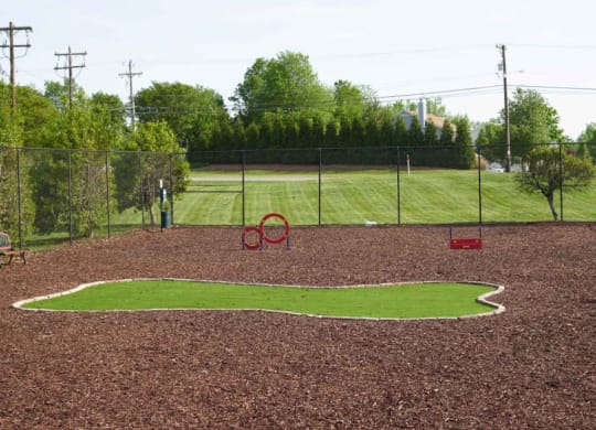 Dog park at The Madison at Adams Farm, Greensboro