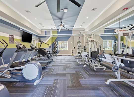 A gym with treadmills and elliptical machines.