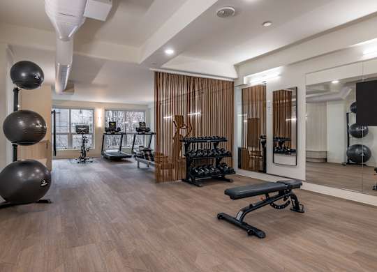 a gym with weights and exercise balls and a large window