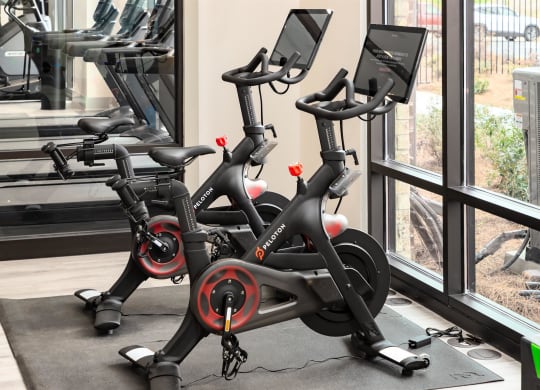 Peloton