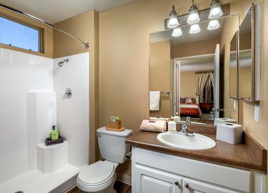 A bathroom with a white toilet, sink, and a large mirror.